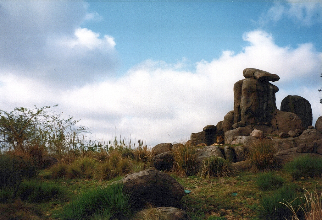 1999 - Floride 20.jpg